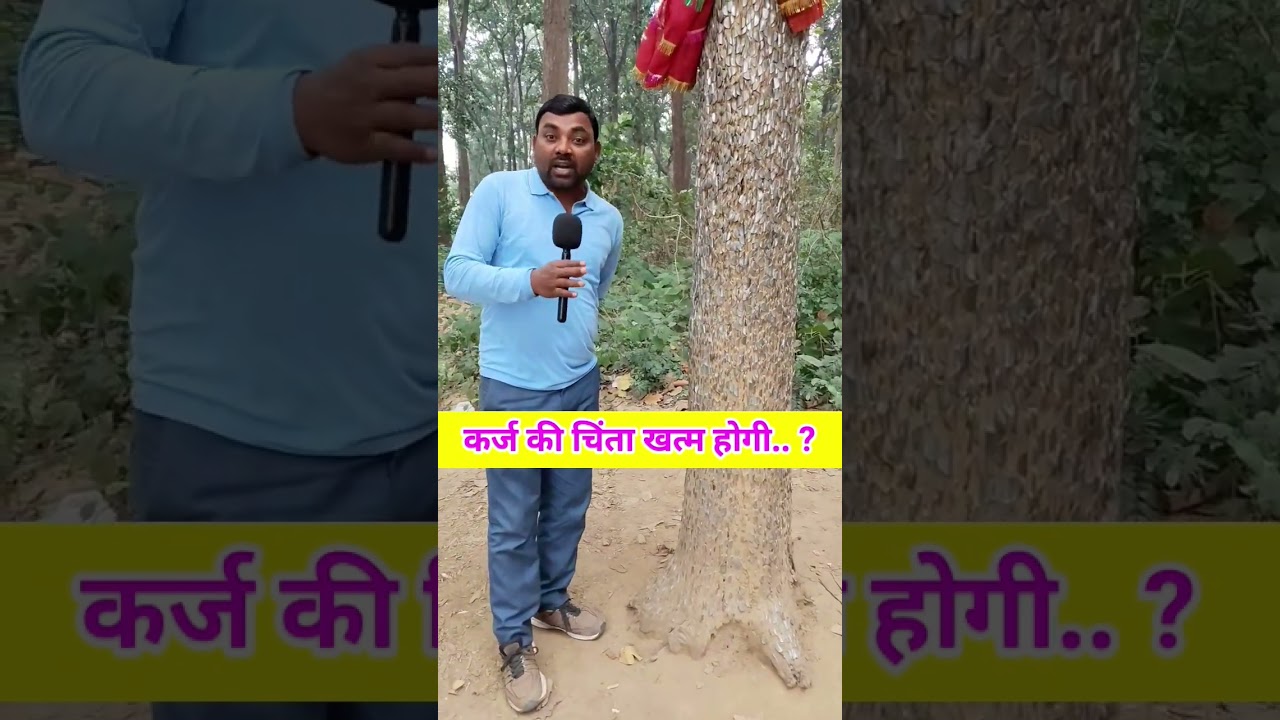 पैसो का पेड़ 