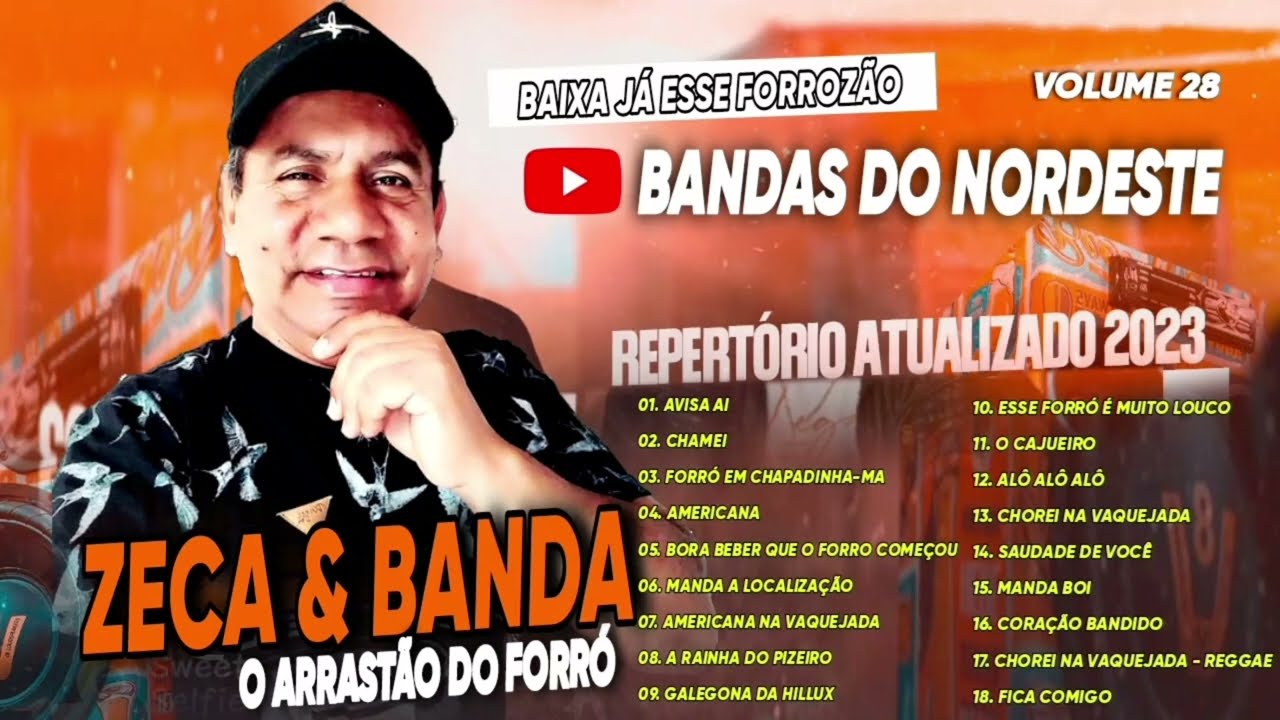 FORROZÃO ZECA E BANDA VOL 28 ATUALIZADO E EXCLUSIVO