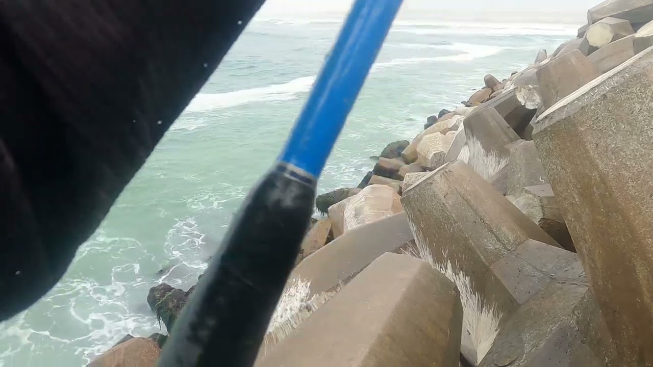 Frustrating Garbage Fish