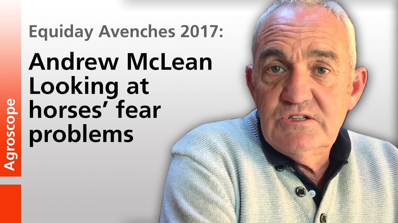 Equiday Avenches 2017: Andrew McLean: Looking at horses’ fear problems