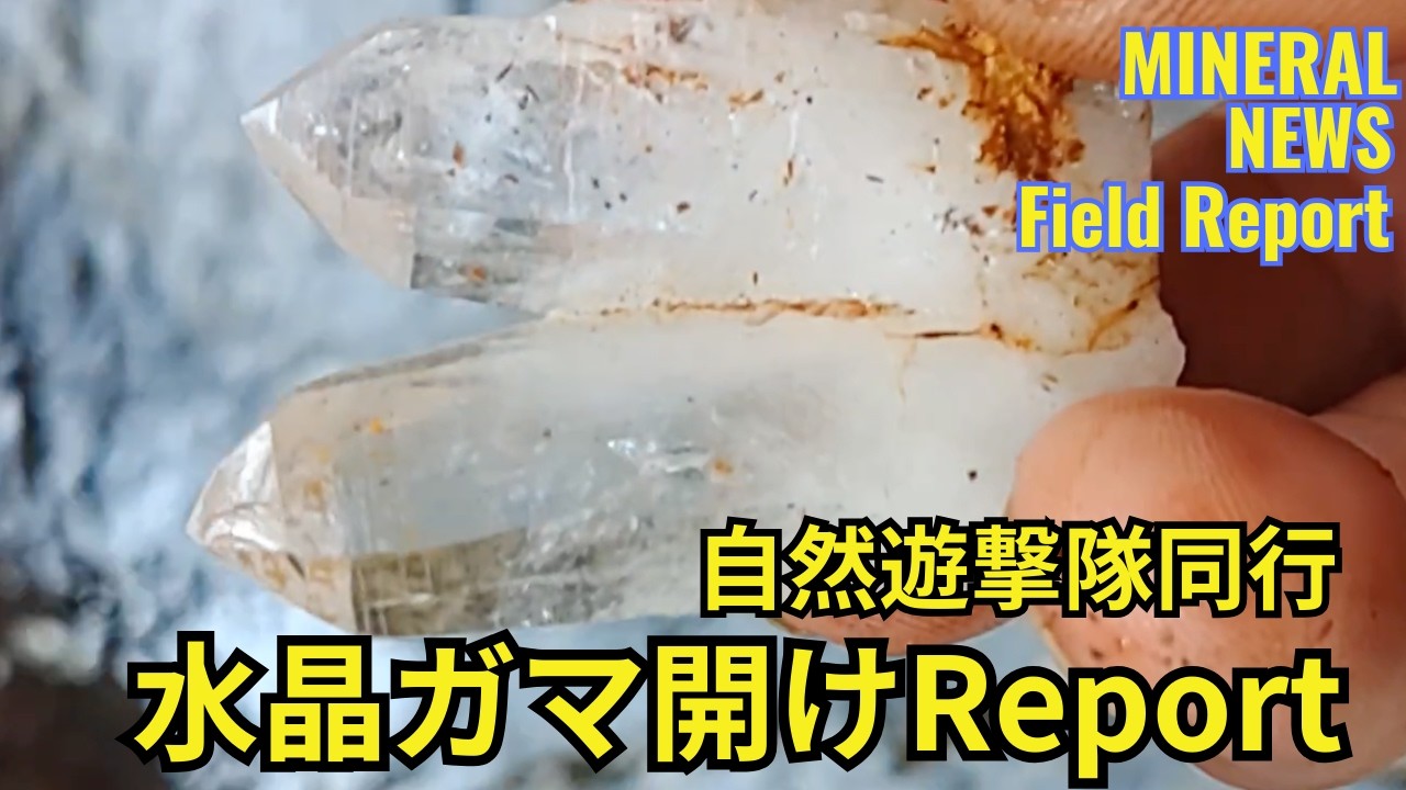 水晶ガマ開け！何が出る？｜自然遊撃隊同行｜ミネラルニュース Field Report