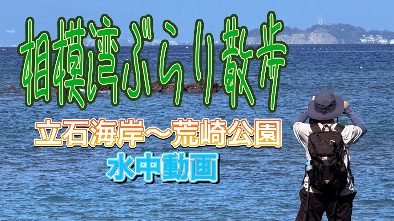 【相模湾ぶらり散歩】 神奈川県横須賀市秋谷  立石海岸から荒崎公園までの散歩シリーズ第3話目