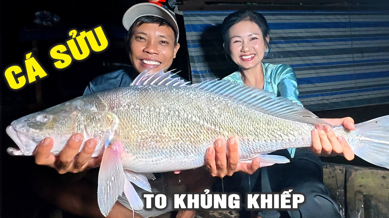 🔴 Hành Trình Săn Cá Khủng Trên Sông Mekong | Cẩm Hằng