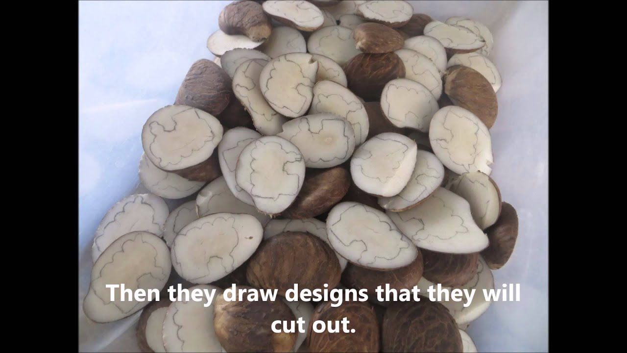 Tagua Making in Ecuador