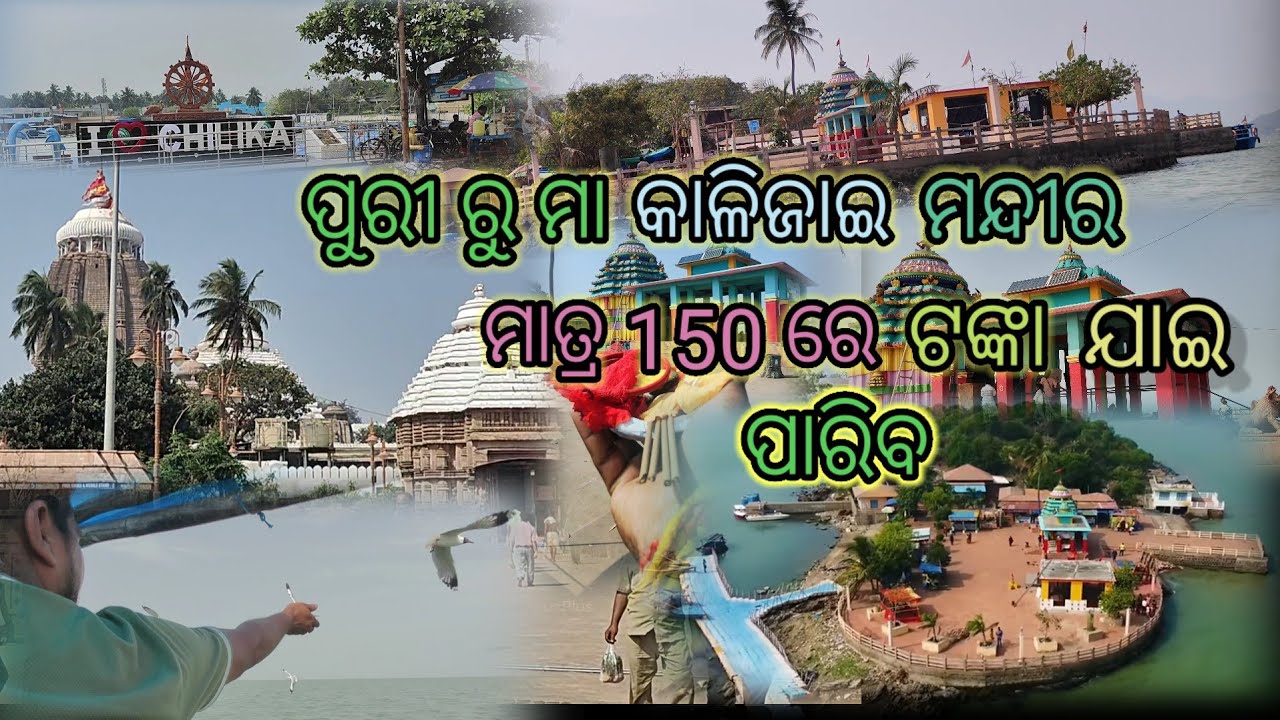 Kalijai Temple Chilik !!Maa Kalijai Mandir!!Chilika Lake!!Kalijai Boat Price #kalijaitemple #kalijai
