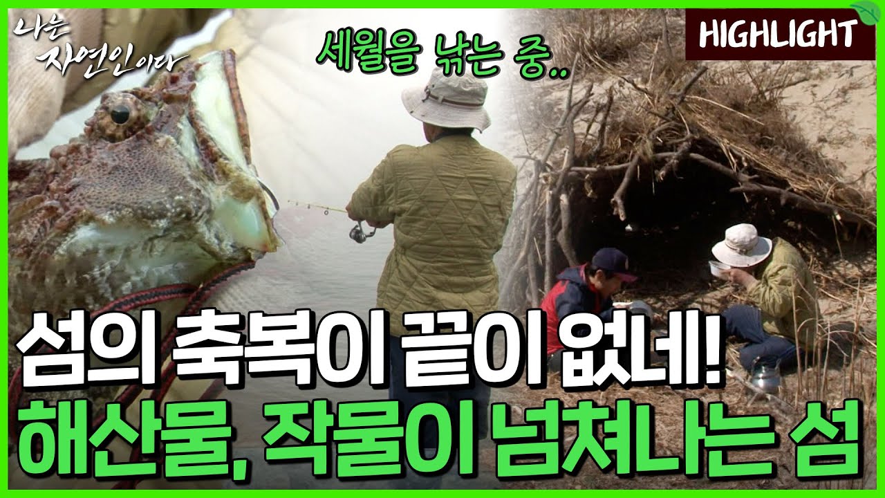 배를 두 번이나 갈아타고 들어가야하는 이곳, 무인도의 홀로 섬지기｜자연인 하이라이트 32회