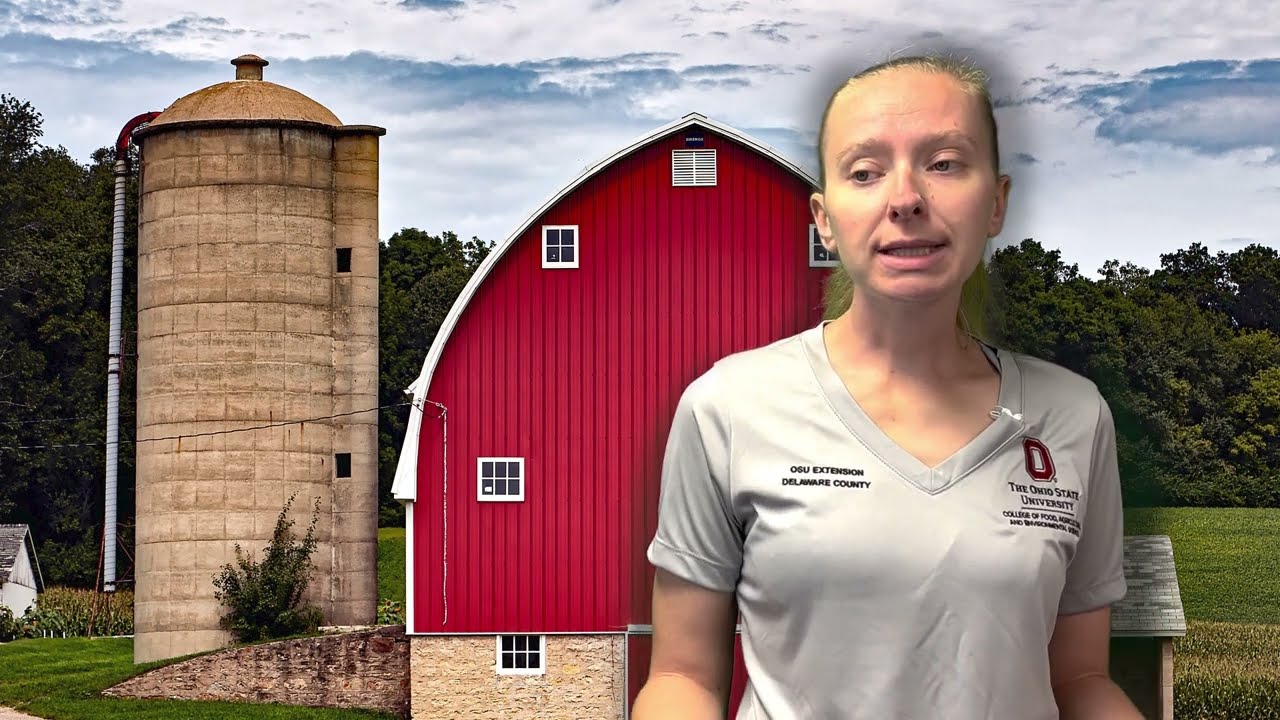 Swine Zoonotic Diseases