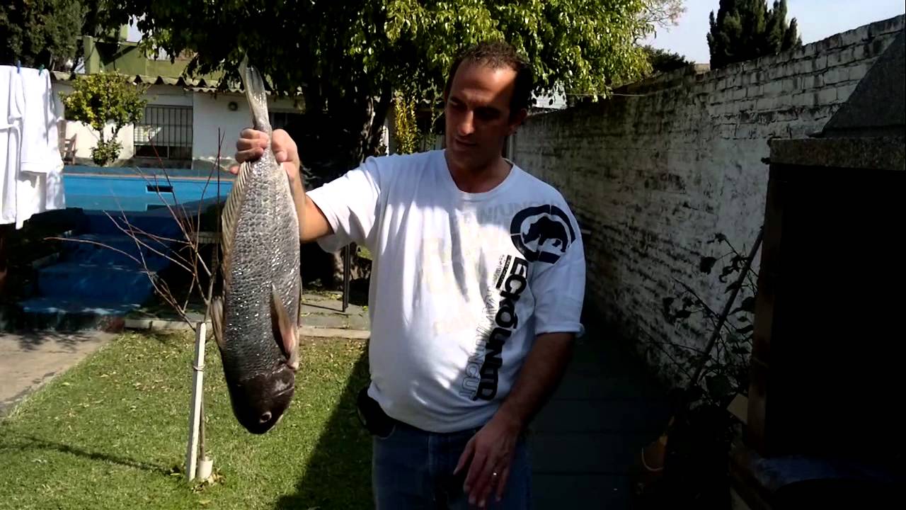 Corvina Negra a la parrilla parte 1