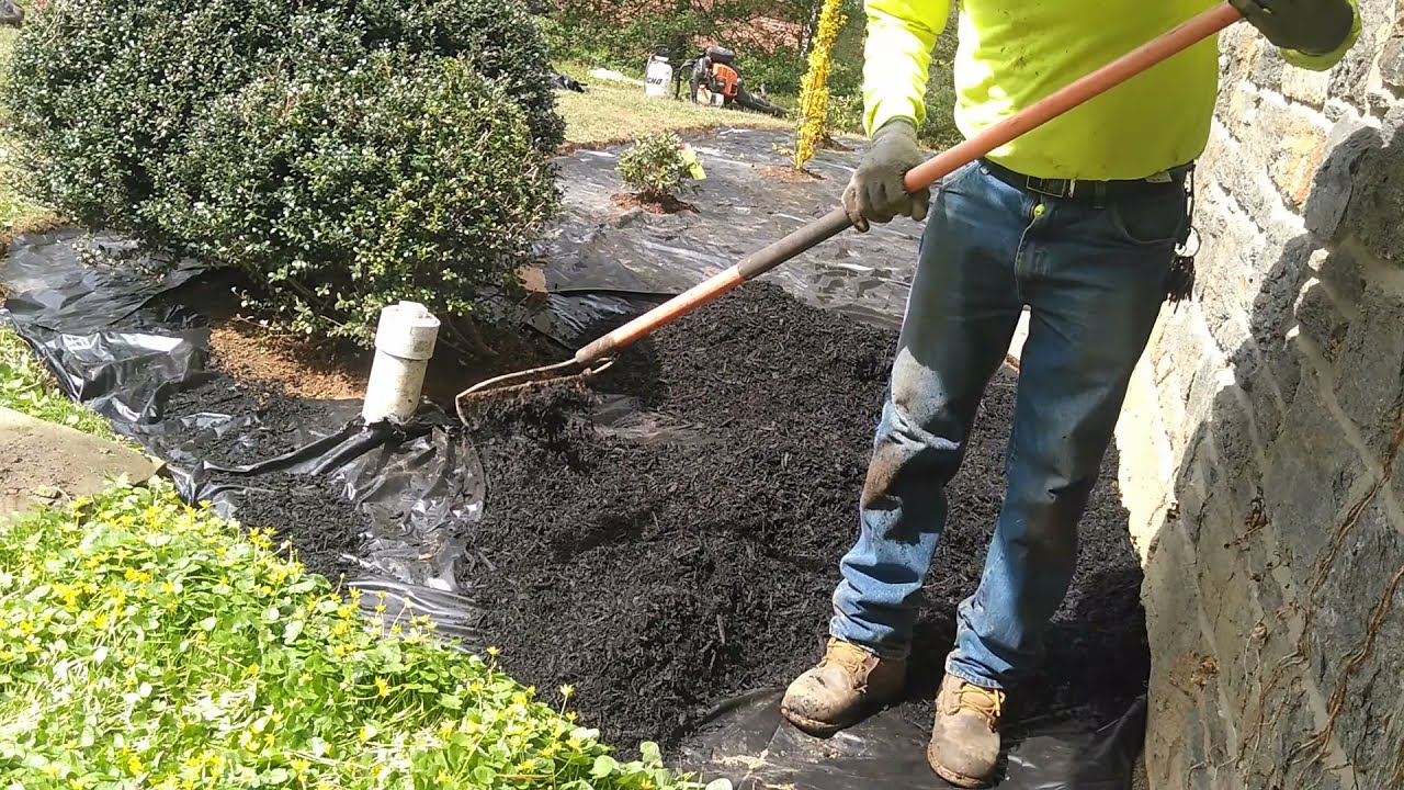 Black Mulch