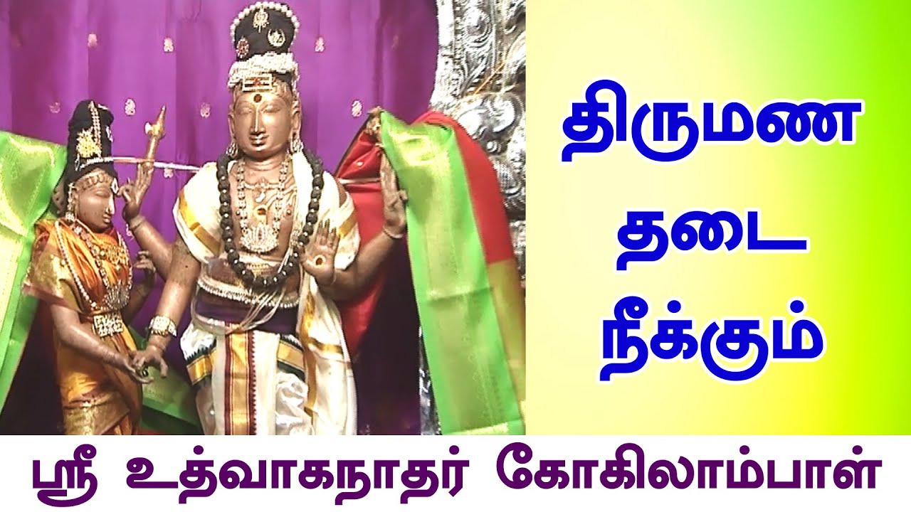 திருமண தடை நீக்கும் | Sri Udhvaganathar Gokhilambal Temple | Thirumanancheri