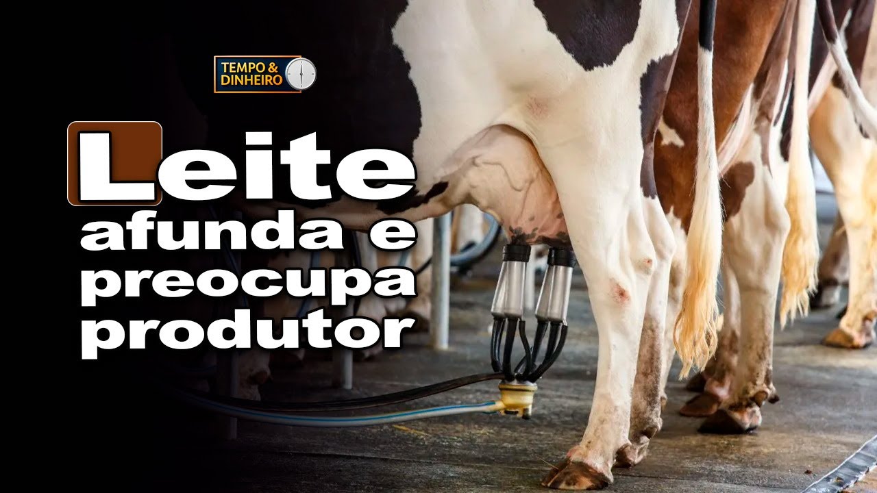 Leite despenca 25% em 2025 com peso das importações. O que esperar?  Natália Grigol comenta