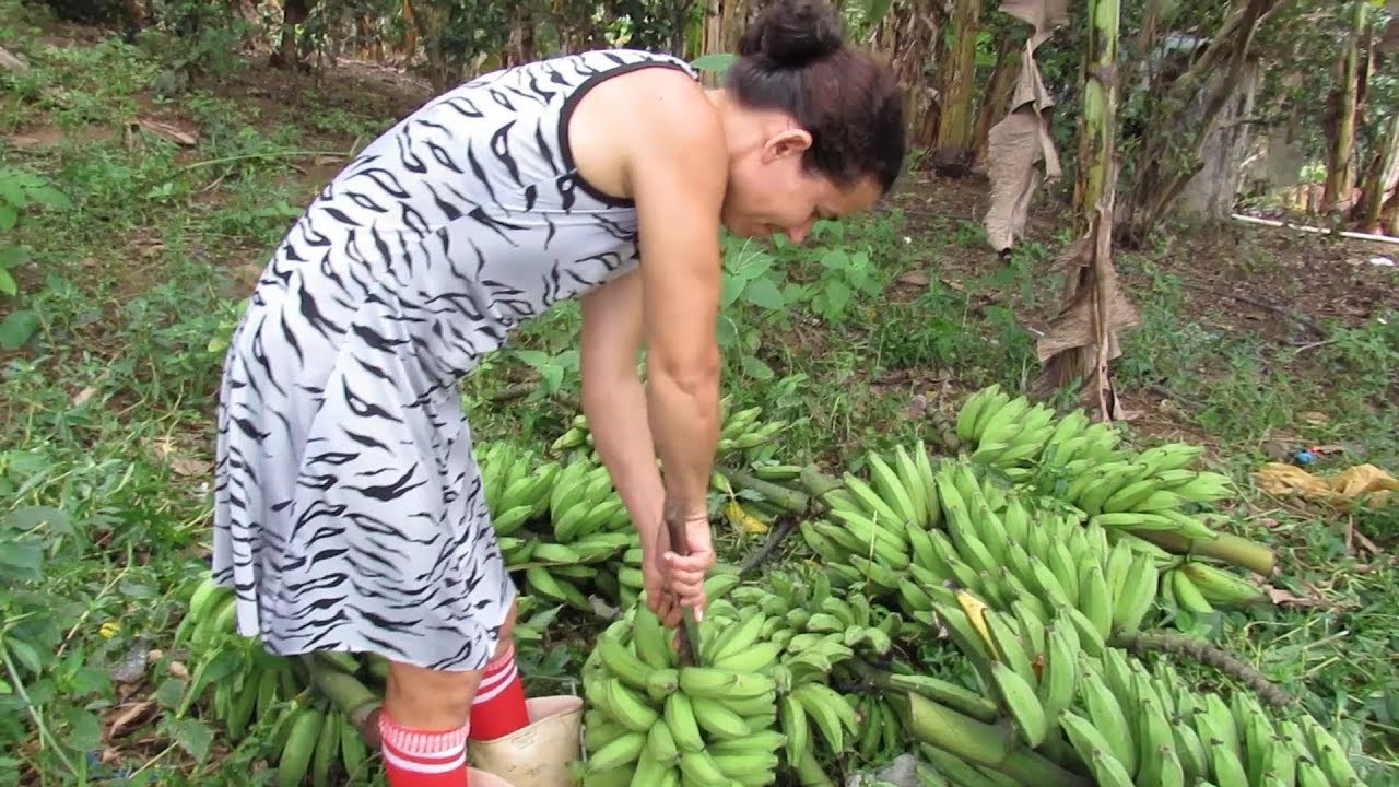 DESPENCANDO BANANA E PROBLEMA DE COLUNA