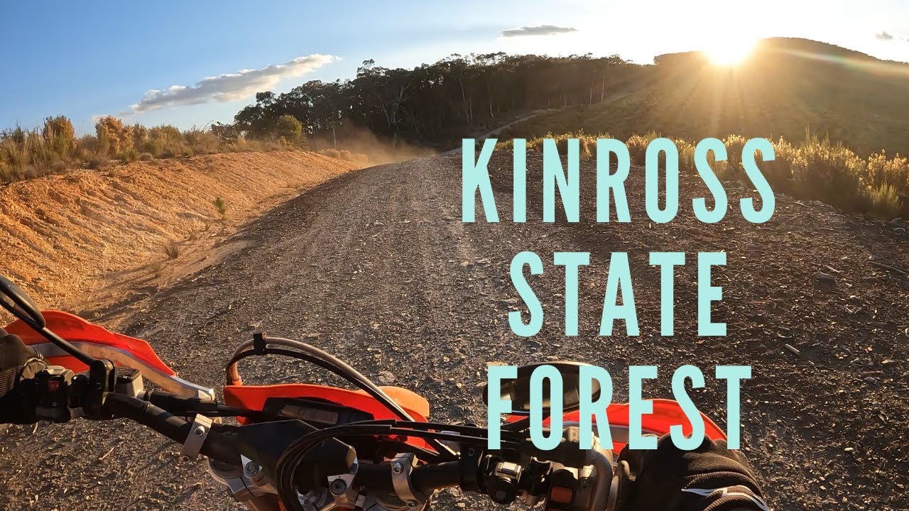 Kinross State Forest - KTM EXC-F 450