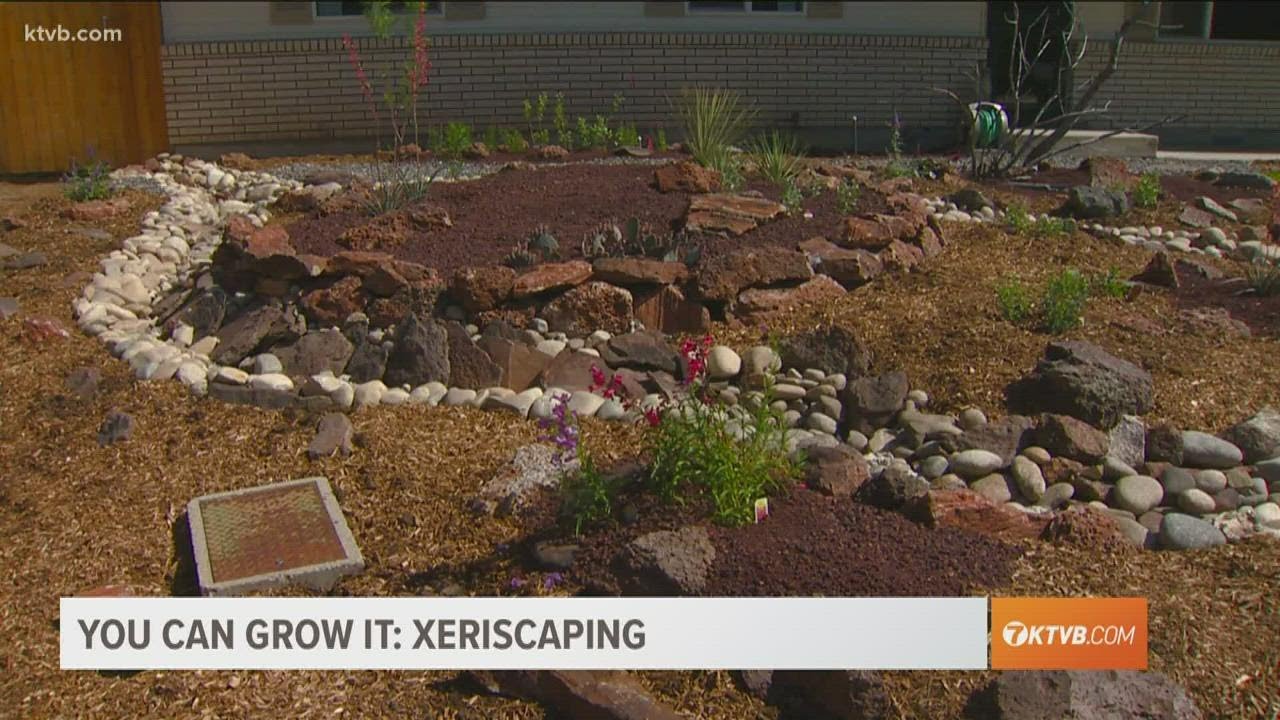You Can Grow It: Xeriscaping to save water