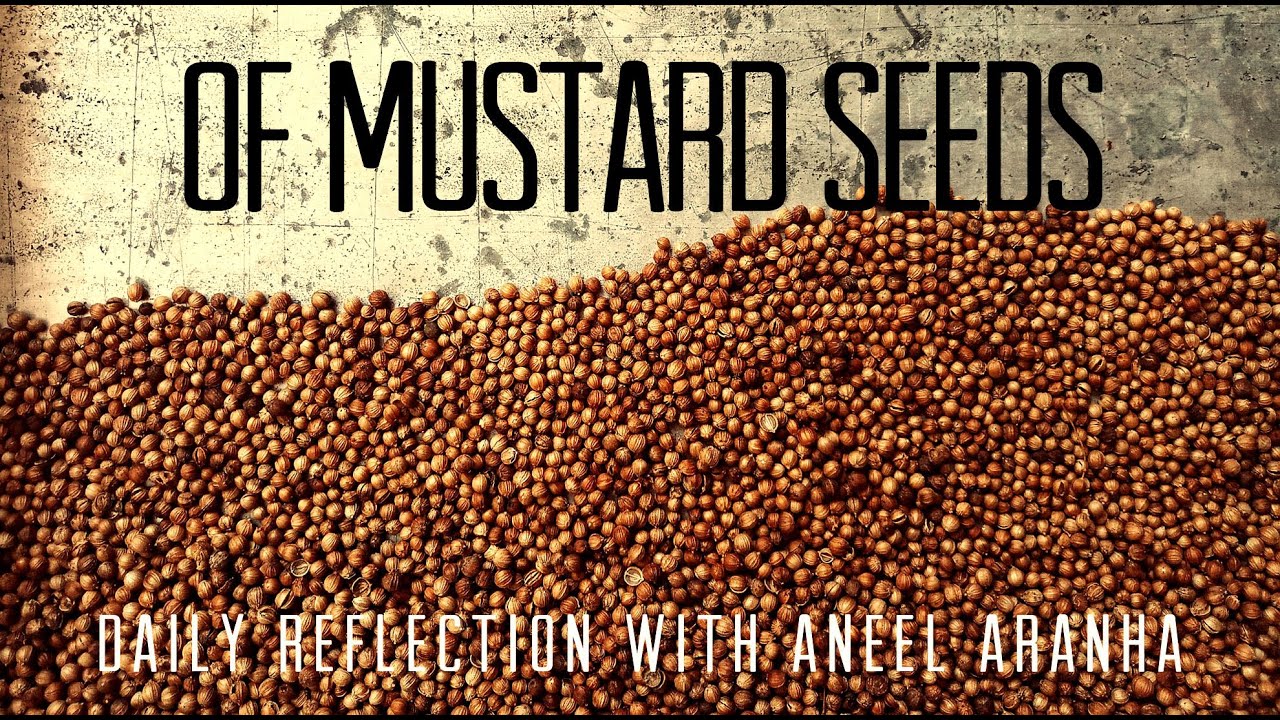 Daily Reflection with Aneel Aranha | Matthew 13:31-35 | July 27, 2020