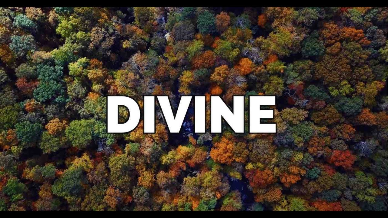 Rock Bay - Divine