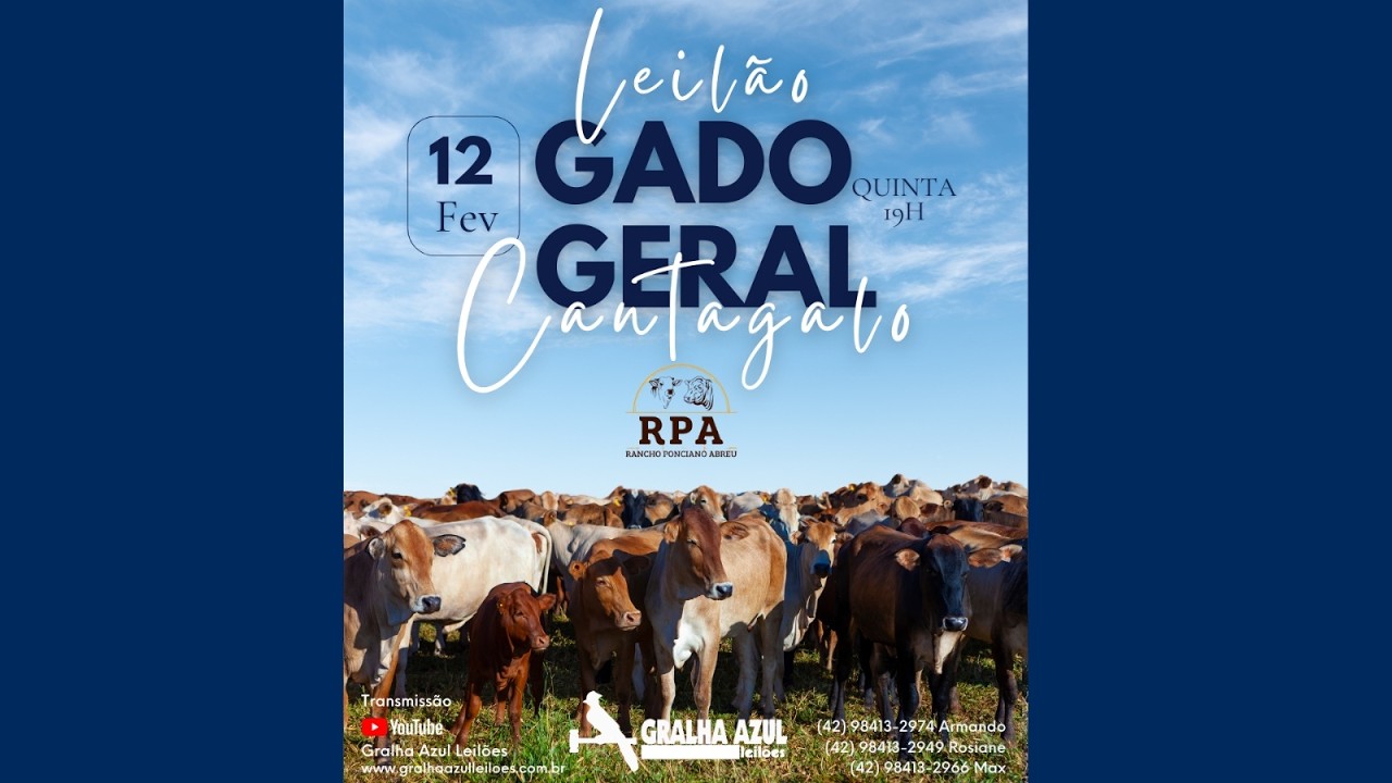 LEILÃO AO VIVO -  RANCHO RPA - CANTAGALO  - 20:00