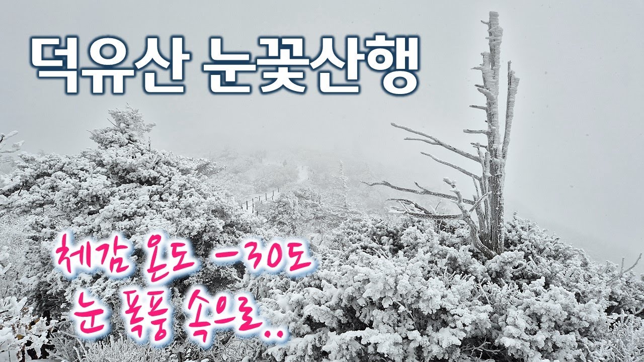 덕유산 눈꽃 산행 | 체감 온도 영하 30도 눈 폭풍 속으로 | 설천봉 - 향적봉 - 중봉 | 겨울 산행 | 상고대, 눈꽃, 설경