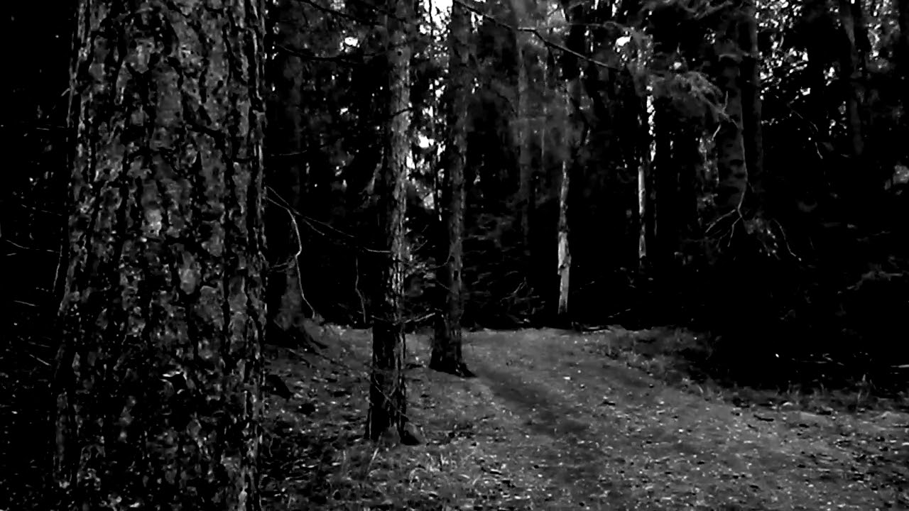 Open Up the Darkness