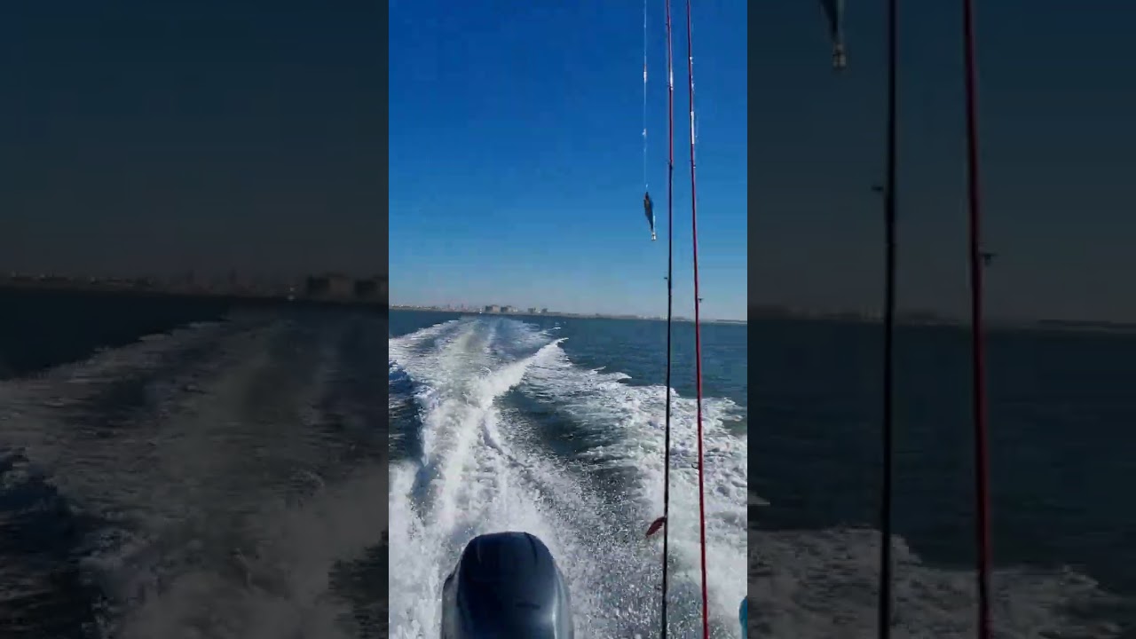 a por calamares #pesca #huelva #calamares#pesca al vivo