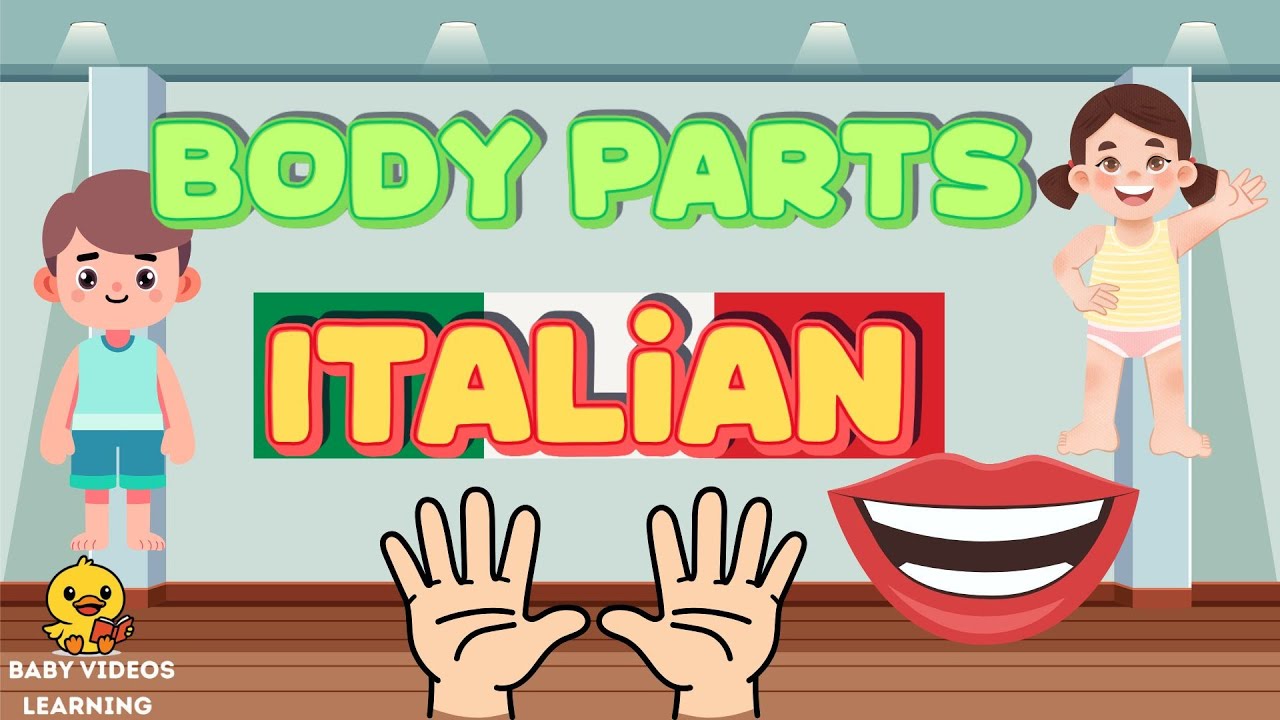 Learn BODY PARTS  in ITALIAN for Kids | Fun Animated Song by Baby Videos Learning