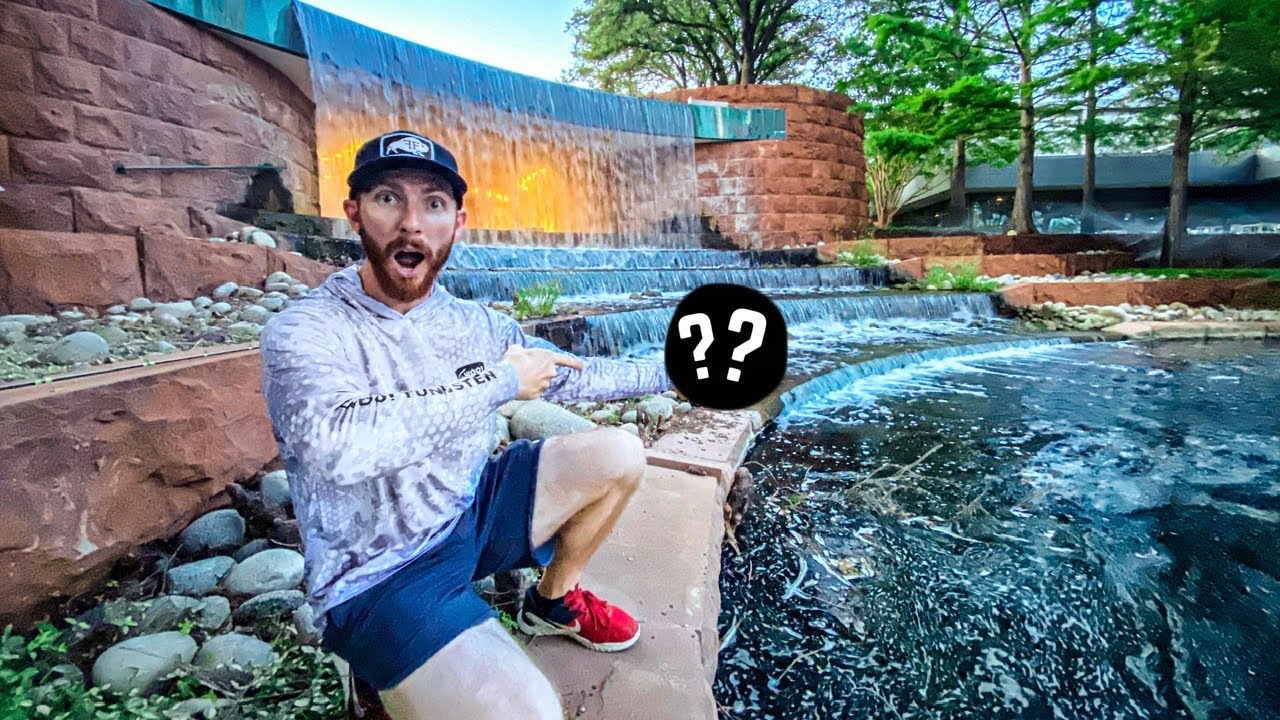We Couldn’t Believe This! Hidden Dallas Pond LOADED With Big Bass + New Reels