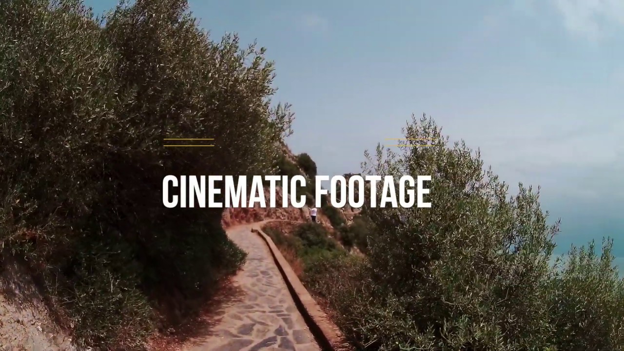 Pic des singes 2019 cinematic footage
