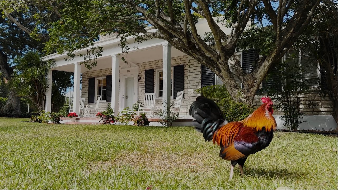 Key West Legacy Real Estate | 901 Johnson Street