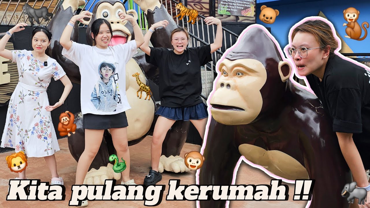 Akhirnya 3 MONYET gila PULANG !! Pergi ke kebun binatang bersama Fanny dan LenLen ?!! 🐒🐘🦒