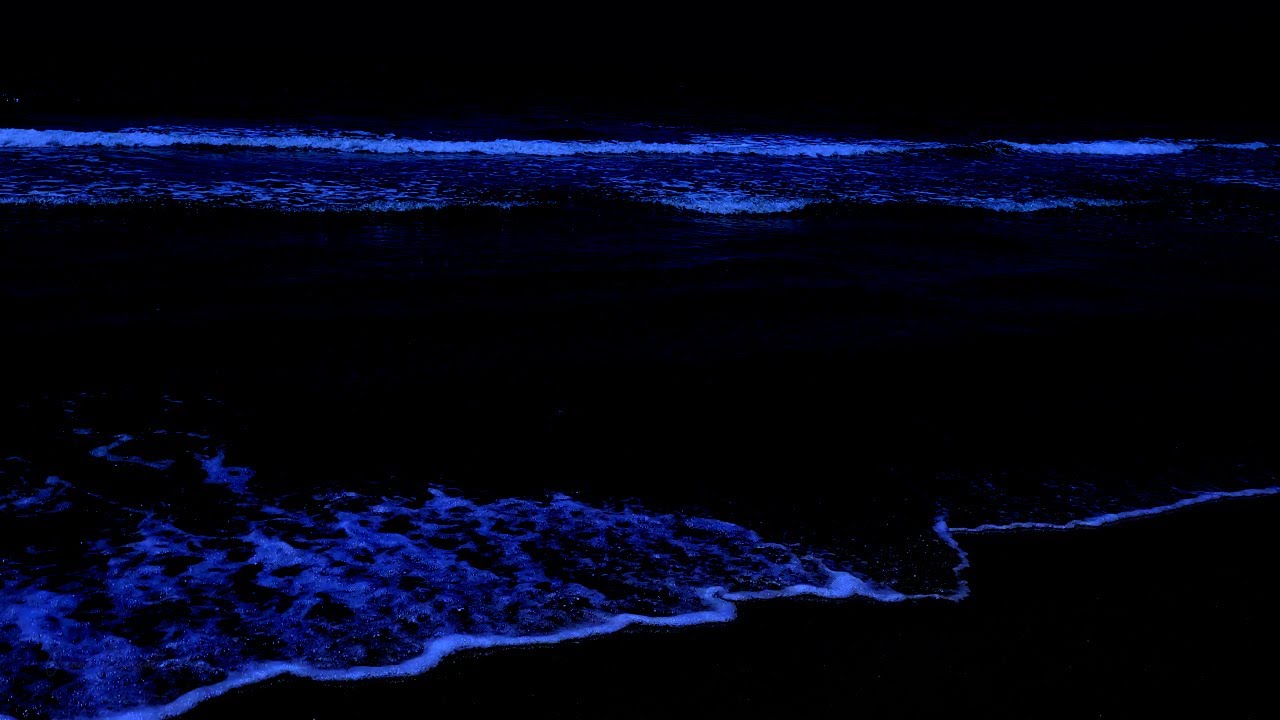 Dormi con i suoni pi&ugrave; piacevoli dell'oceano, 48 ore di sonno profondo con le onde di notte