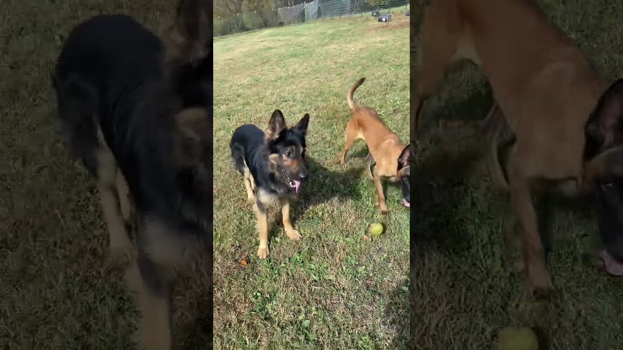 Max and Mia