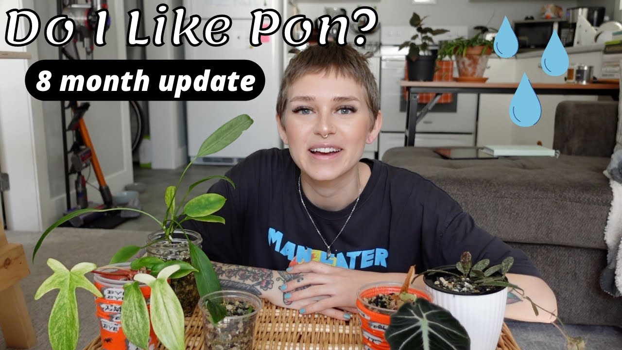 My Thoughts On DIY Pon After 8 Months | struggles, what I'm changing, pon plant tour, + pot with me