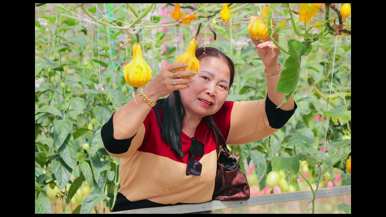 ngày 1 tháng 3, 2026