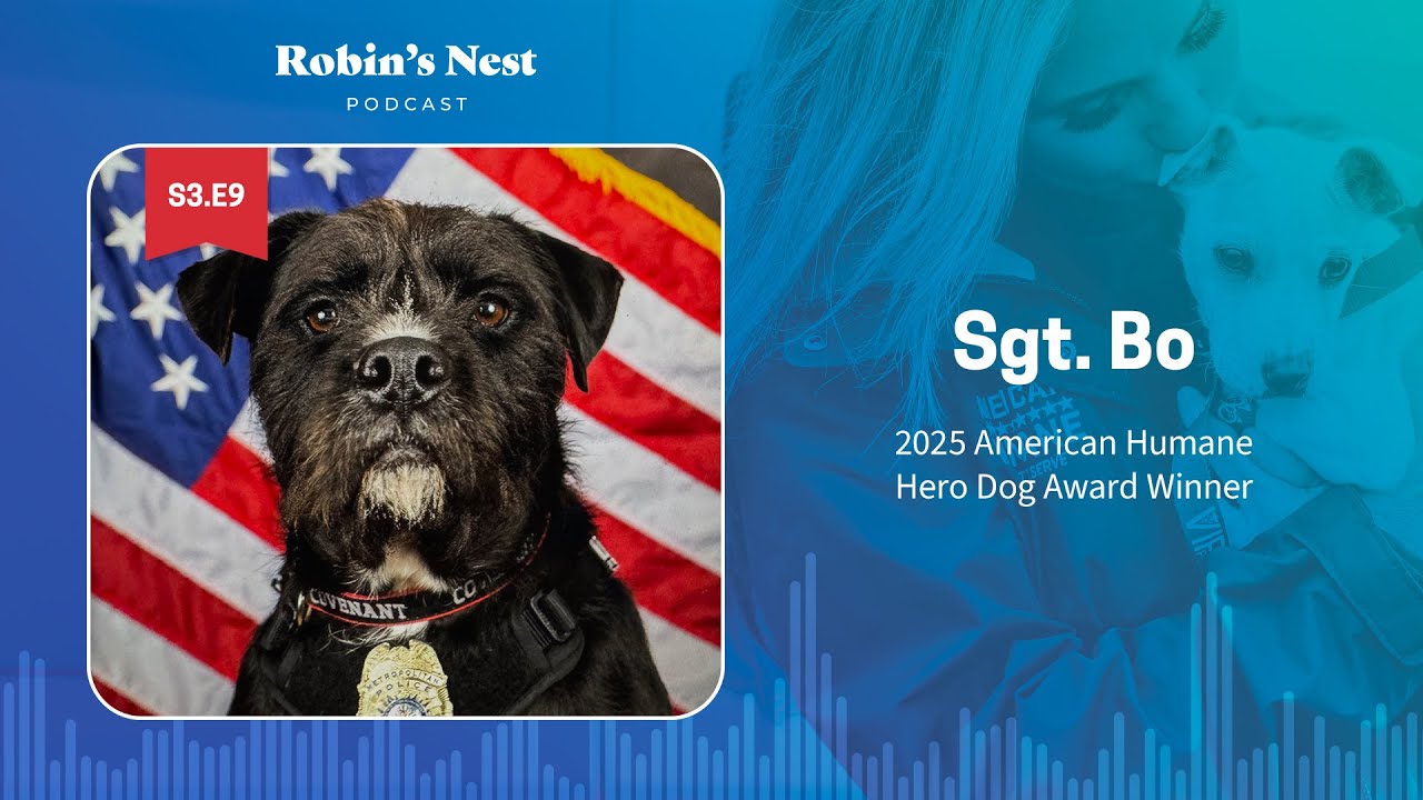 From Stray to Guardian: Sgt. Bo’s Story of Healing