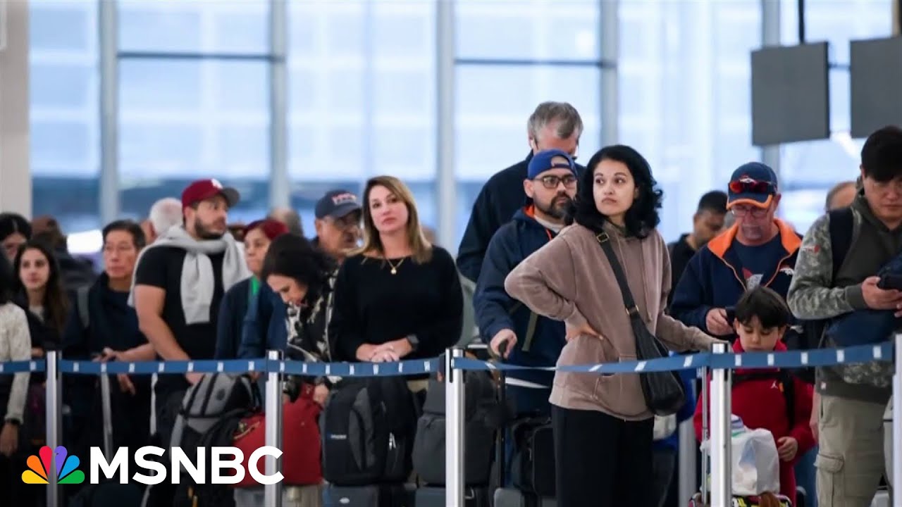 'This is urgent': Flight attendant union president calls on Congress to open the government