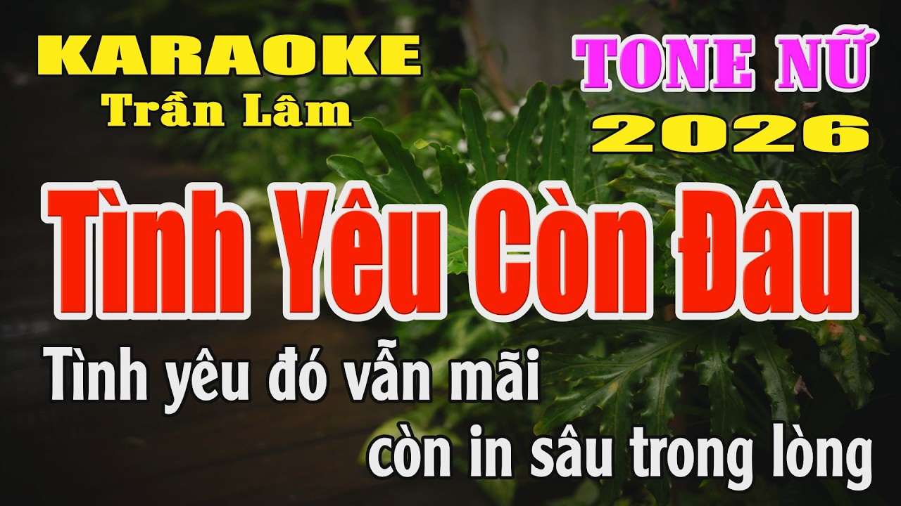 Karaoke Tình Yêu Còn Đâu Tone Nữ ( Sol thứ ) karaoke Trần Lâm