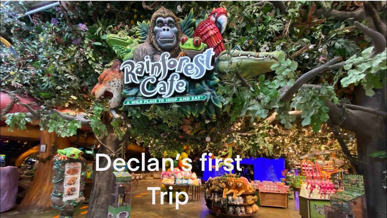 rainforest café