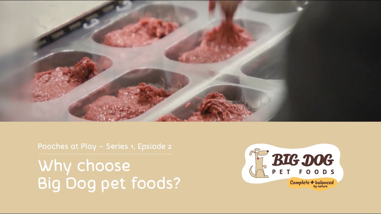 Why choose a fresh, raw food diet for your dog?