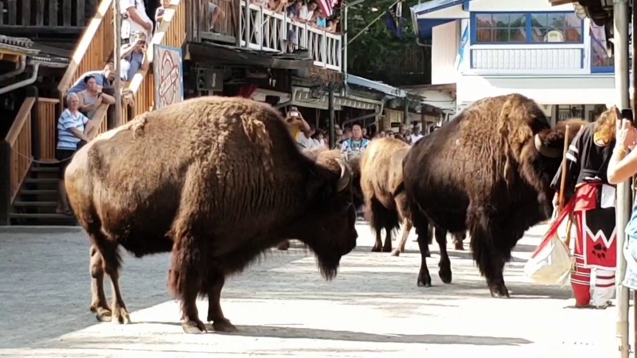 Pullman City 2018- die lebende Westernstadt