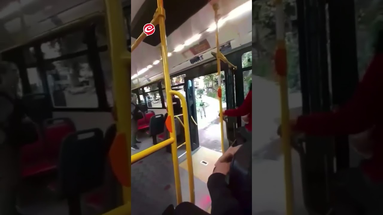 Filmaron a un &ldquo;punga&rdquo; robando un celular en un colectivo