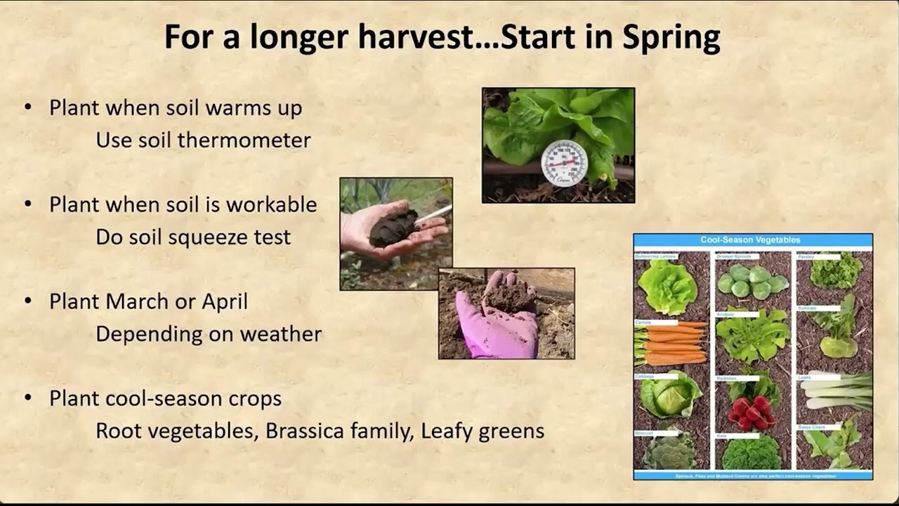 Growing & Harvesting Vegetables Year-Round with OSU Master Gardeners 2024