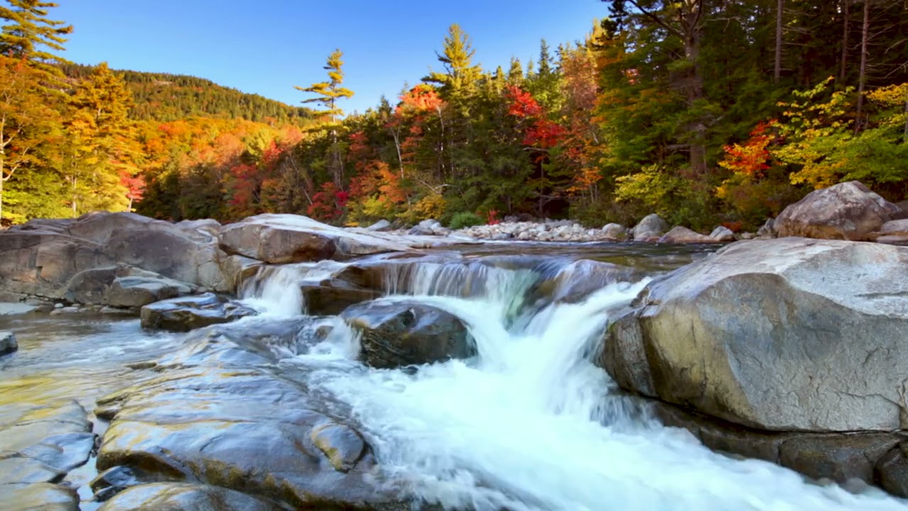 USA Autumn River Flowing Through Fall Foliage 4K | River Sounds for Sleep, Study, Relax, Anxiety.