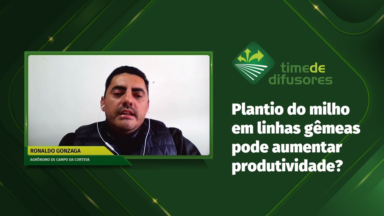 Plantio do milho em linhas gêmeas pode aumentar produtividade? - Ronaldo Gonzaga - Região Leste.