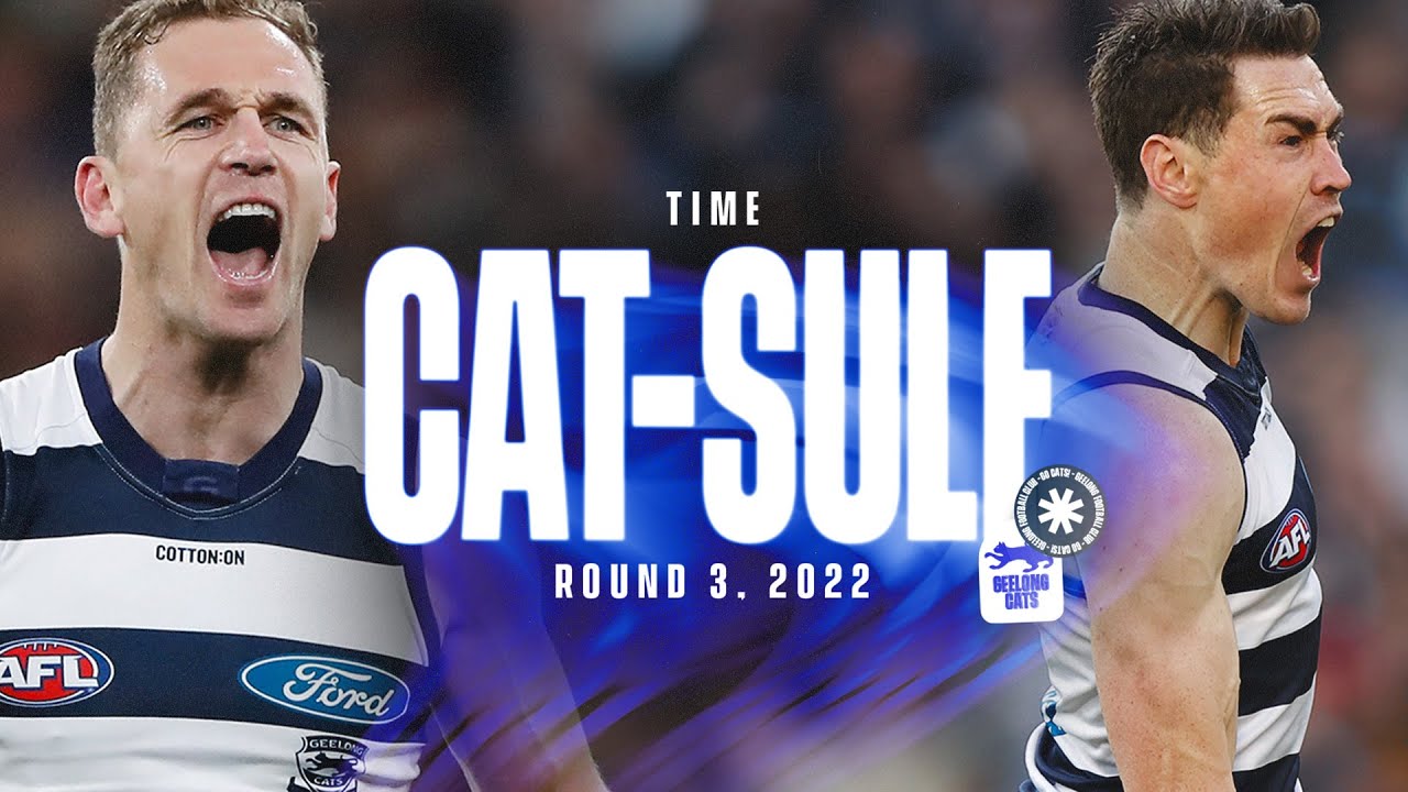 Time Cat-Sule | Epic Cats Comeback Against Pies