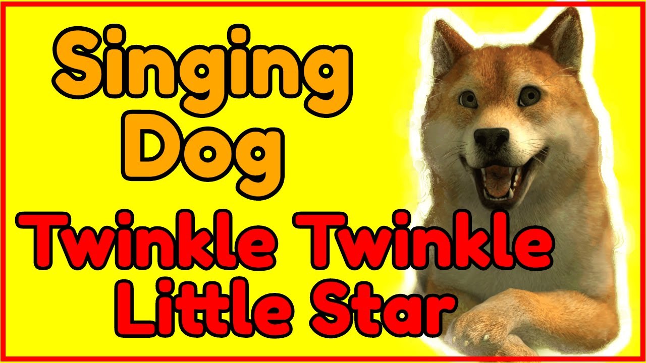 🐶 Twinkle Twinkle Little Star 🐶 Singing Dog 🐶 Nursery Rhymes Songs 🐶 FunBrothers