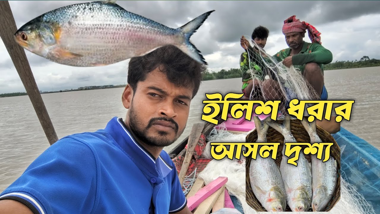 নদীতে নৌকায়  ইলিশ মাছ ধরার আসল দৃশ্য। Hilsa fishing in river. 