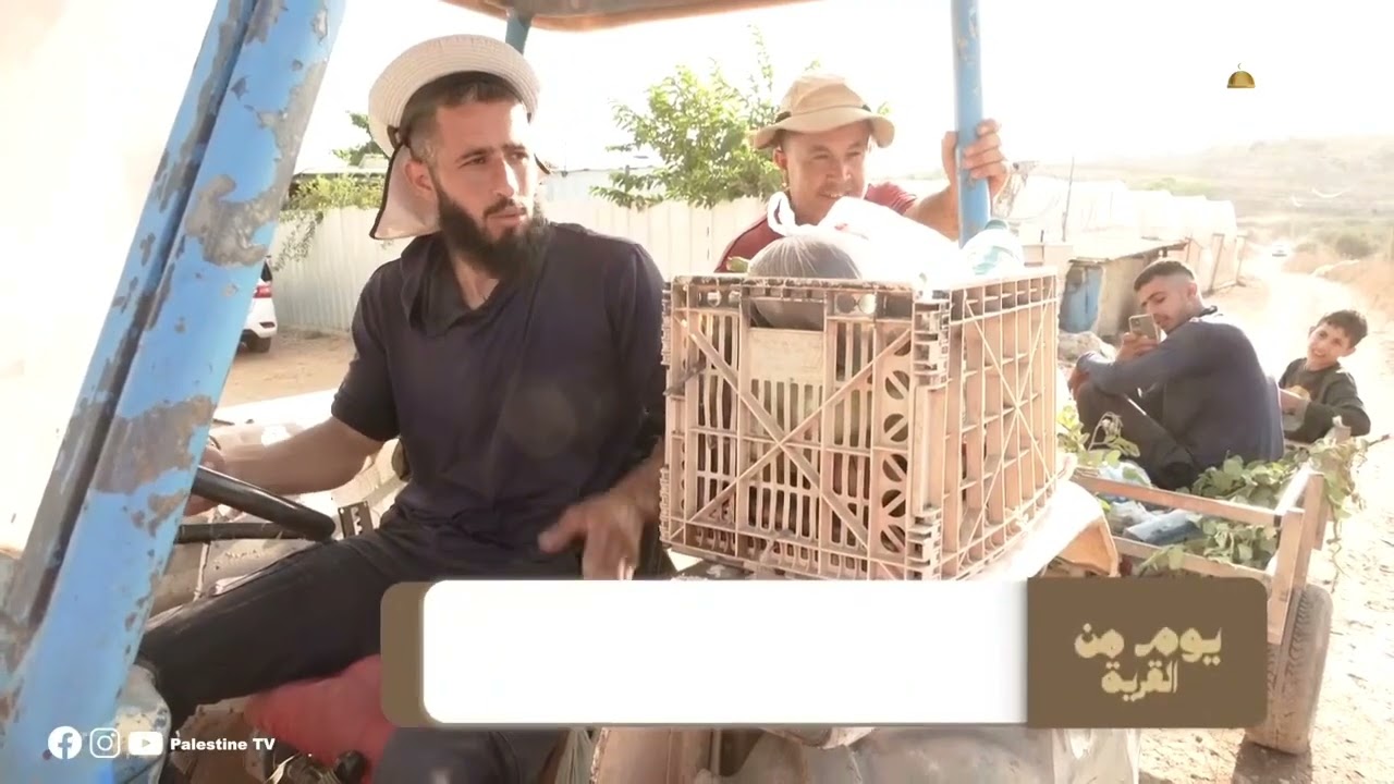 جيوس قلقيلية القرية الخصبة البلد العريق والذهب العتيق