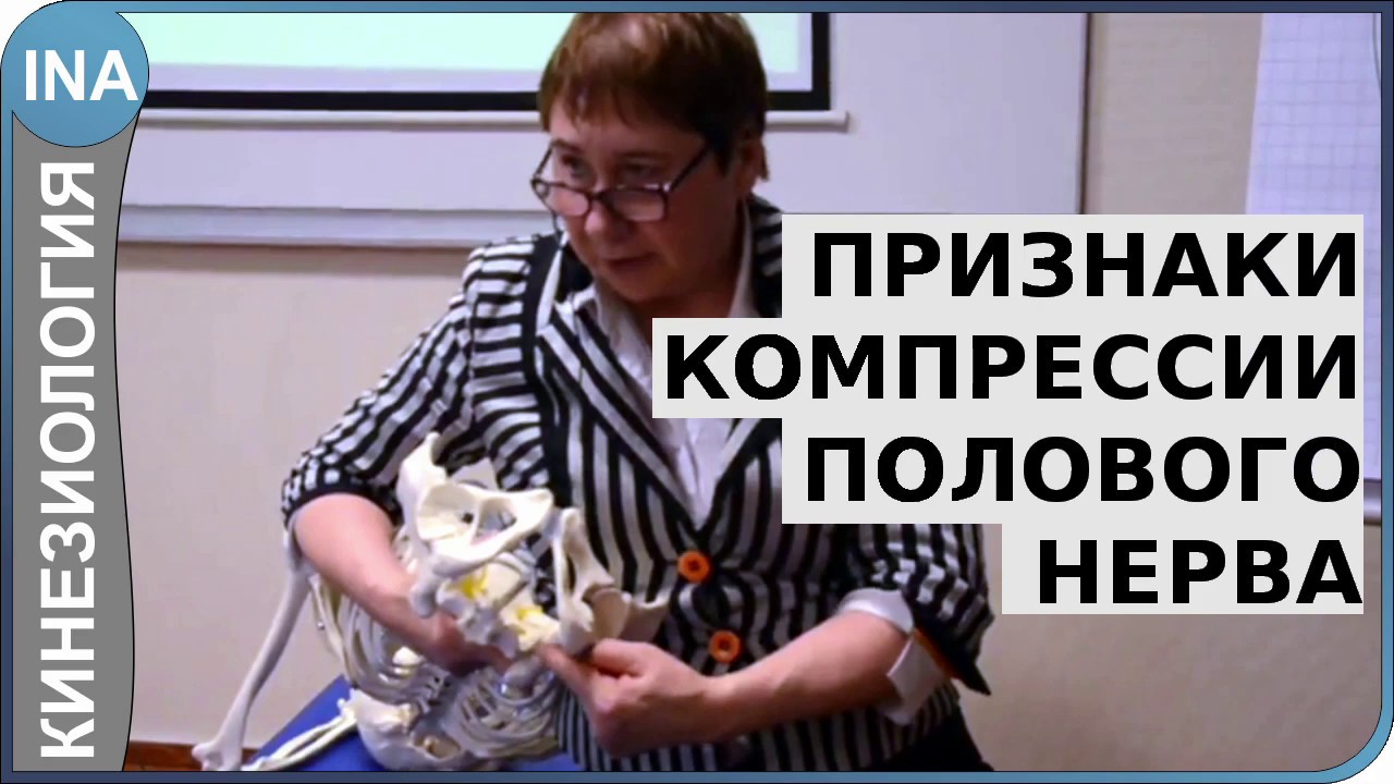 Признаки компрессии полового нерва. Кинезиология. Германия