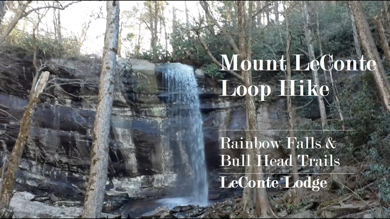 Mount LeConte Loop Hike:  Rainbow Falls and Bull Head Trails - March 30, 2021