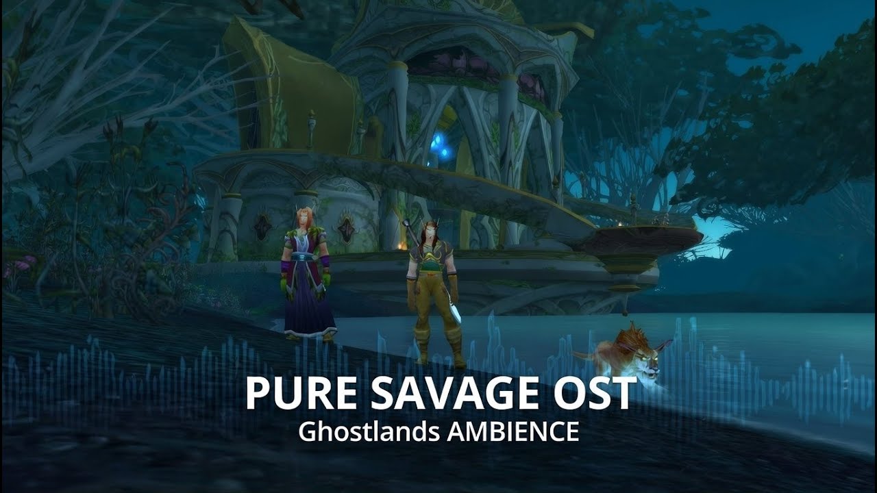 Pure Ghostlands OST Ambience | BE Hunter/Priest Duo Silent Leveling (1HR) No HUD RestedXP